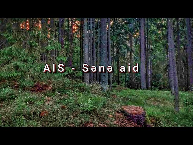 AIS - Sənə aid
