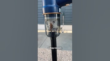 The ULTIMATE Organic Pest Control Solution - Why Didn