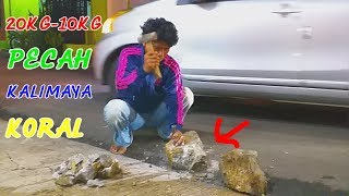 20KG-10KG PECAH KALIMAYA KORAL GAMBLING BONGKAHAN BESARRRRR
