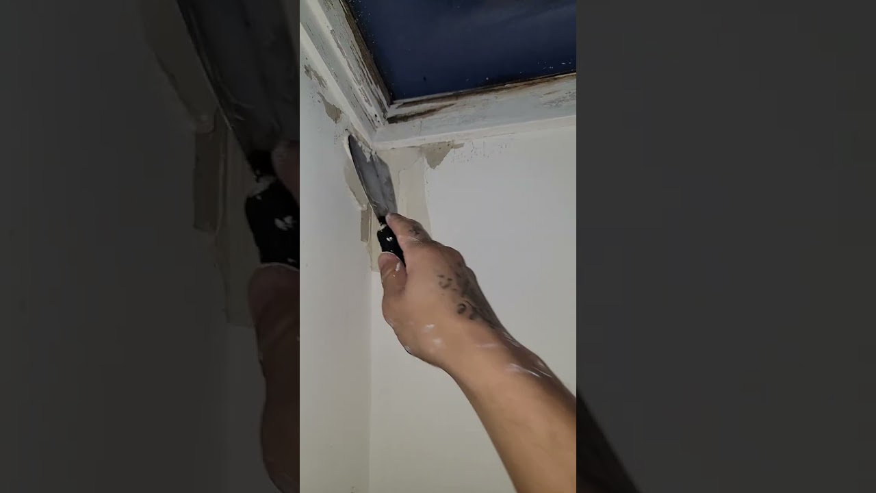 Fixing a water damaged skylight
