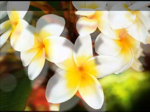 JUZ 29 The Holy Quran Abdul Rahman Bin Abdul Aziz Sudais