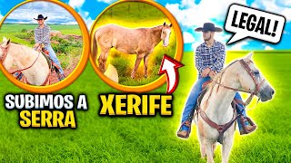 VLOG PELA FAZENDA RISADA, O XERIFE TÁ MUITO GORDO