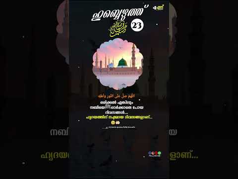 ഒരിക്കൽ എങ്കിലുംനബിയെﷺഓർക്കാതെ പോയദിവസങ്ങൾ ഹൃദയത്തിന് നഷ്ടമായ ദിവസങ്ങളാണ്🥹🤲🏻#reels  #viral  #shorts