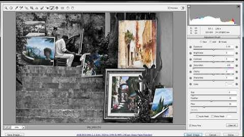 Selective colour inside Adobe Camera RAW
