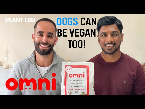 Dogs thriving on Plant Based pet food: omni |