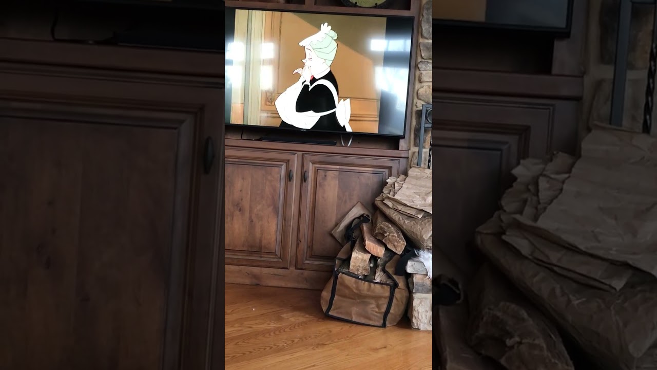 101 Dalmatians  home again