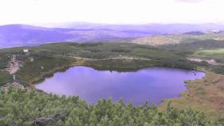 北海道の最高峰　旭岳でエゾシマリスに出会う~Chipmunk