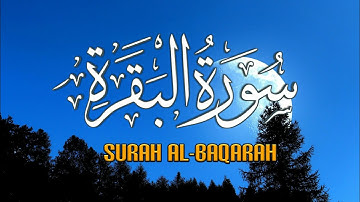 سورة البقرة من الأية 21 إلى الأية 33 تلاوة هادئة تريح الاعصاب بصوت جميل جدا surah al-baqarah