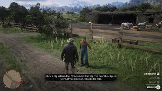 Red Dead Redemption 2 - Helping jerk kid at Emerald Ranch find his missing dog.