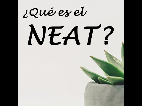 ¿Qué es el NEAT? ¿Cómo calcularlo?