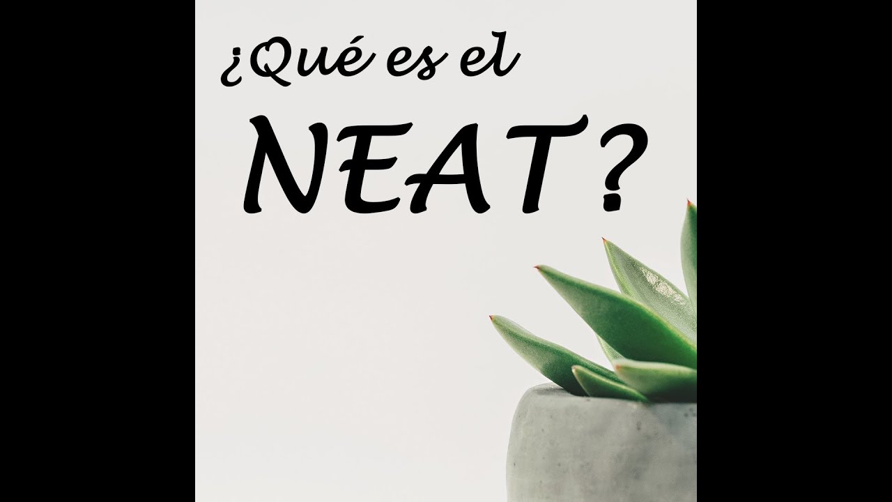 ¿Qué es el NEAT? ¿Cómo calcularlo? YouTube