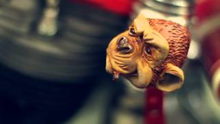Speed Monkey startup