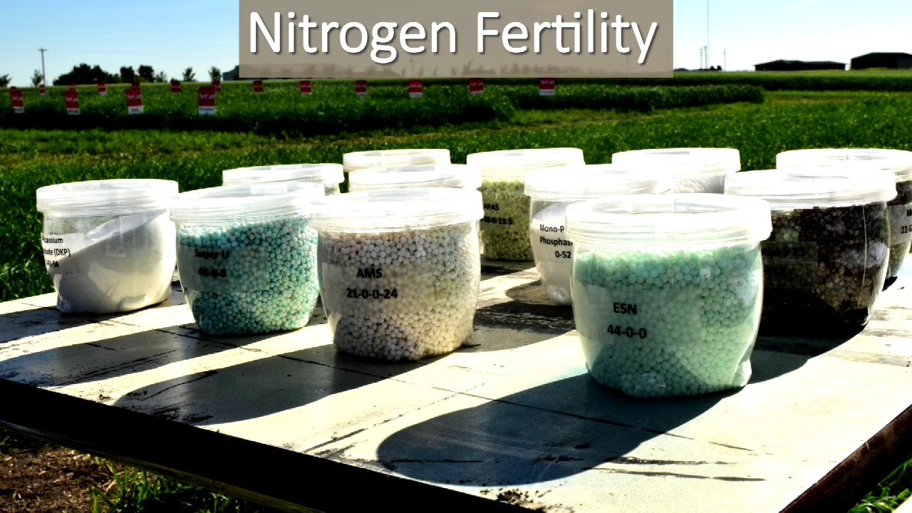 Precision Planting Trials in Canola and Corn - Farming Smarter Cypress Conference 2017