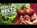 Grow perfect beetsbeetroot every time
