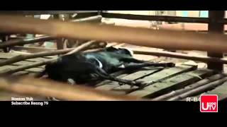 Mencurangi aqiqah Iqbal Perdana, Aryani Fitriana, Ivanka Suwandi, Agus Wibowo