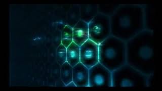 Detasemen Harimau Indonesia denharin