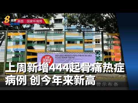 本地上周新增444起骨痛热症病例 自今年来新高