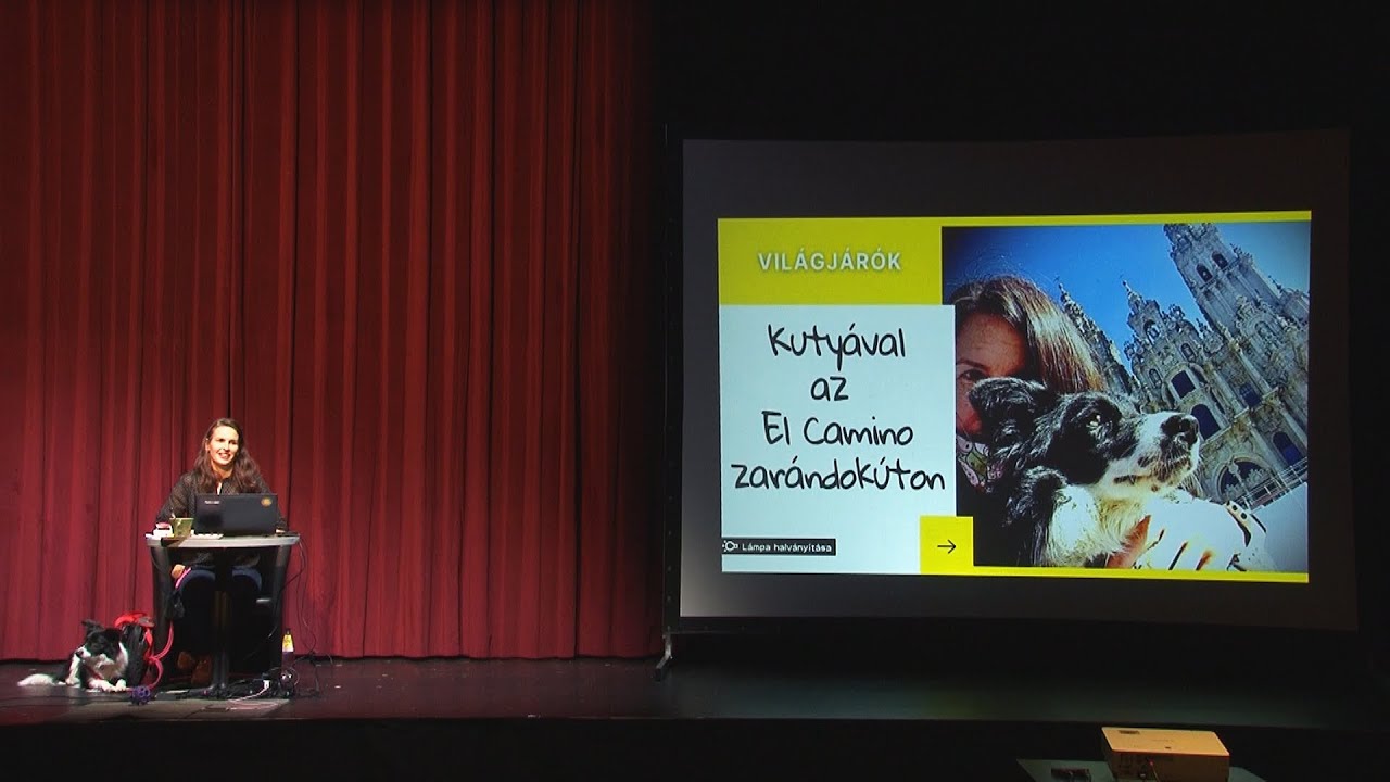 Kutyával az El Camino zarándokúton