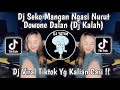 DJ SEKO MANGAN NGASI NURUT DOWONE DALAN (DJ KALAH ) VIRAL TIKTOK 2024