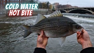 Cold Water Spillway Fishing Catches Fire (Bonus Rare Catches) | 8 Species