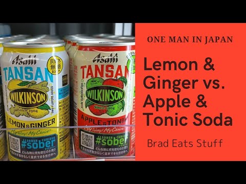 Brad Eats (Drinks & Compares) Stuff: Lemon & Ginger vs. Apple & Tonic Soda [字幕]