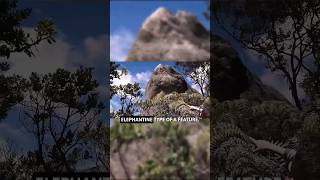 Forgotten Giants | Mastodon