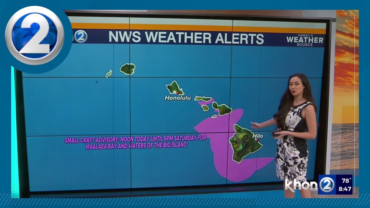 Breezy trades today, wetter weather possible by Sunday - YouTube