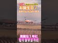 5/18 Skellatrixiさんお誕生日おめでとうございます🎉#shorts #成田空港 #エジプト航空#お誕生日 #loveflightjack