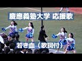 慶應義塾大学 伝統の応援歌「若き血」(歌詞あり)新入生は早く神宮球場行きたいですね!