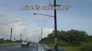 New Flea Market, Guam/$20 Budget