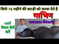 भैंस की कटड़ी कैसे करें तैयार|female buffalo calf management in hindi