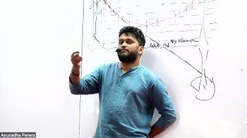 ආලෝකය ප්‍රිස්ම ආරම්භය 2026 THEORY ( ZOOM 3000+)