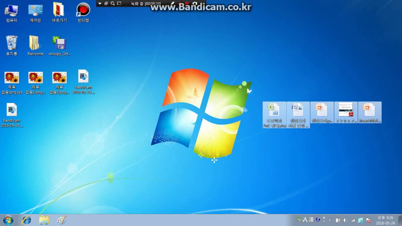 RansomFree Demonstration - Cerber ransomware
