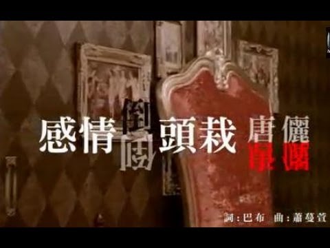 感情倒頭栽 唐儷