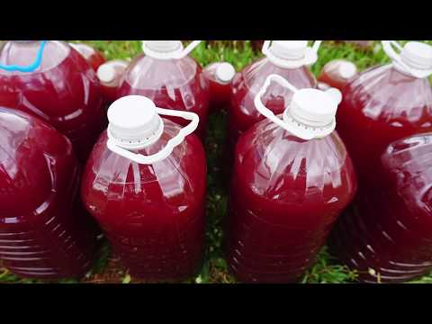 จากประสบการณ์ผู้ใช้จริง ! เปลี่ยนขวดสีเขียวให้เป็นสีแดง