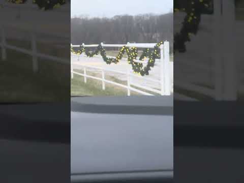 Arriving At Warm Springs Ranch To Meet The Clydesdales