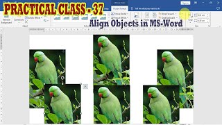 How to align objects in ms word | | Align objects in ms word |
