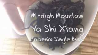 Oolong-Steeping YaShiXiang-Feng Huang Dan Cong(Phoenix Single Bush)-High Mountain Spring Tea-#1 screenshot 4