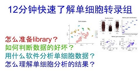 12分钟快速了解单细胞转录组|怎么准备library|如何判断数据好坏|用什么软件分析|如何理解单细胞分析结果