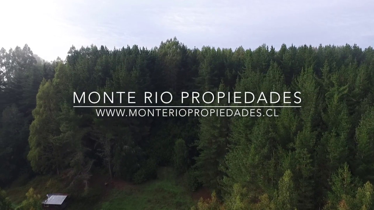 Venta de Fundo Forestal en la Región de Los Lagos