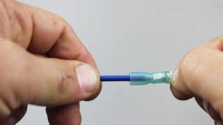 Properly Using Fork Terminals Profile