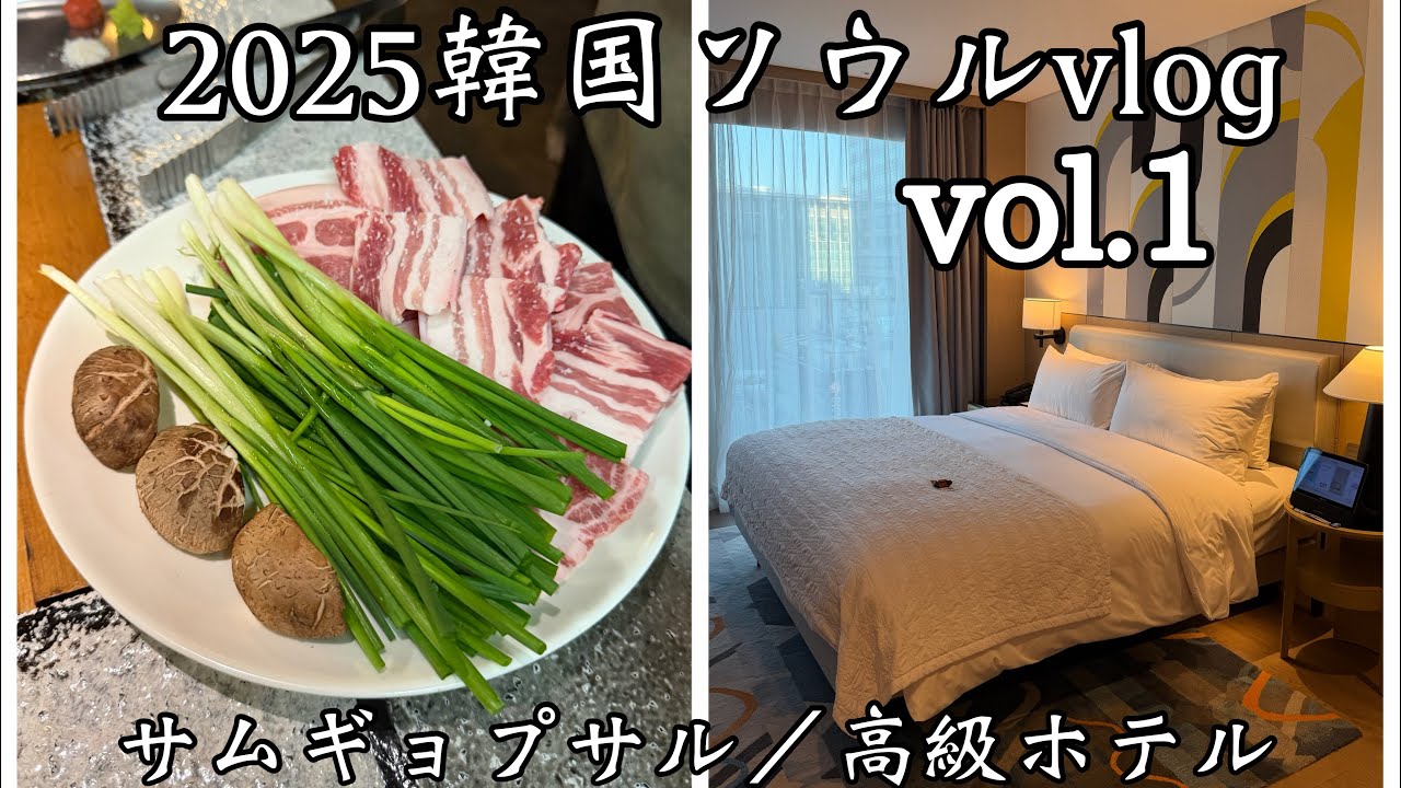 韓国ソウルのvlog。グルメは山清炭火ガーデンのサムギョプサル。ホテルはル・メリディアン・明洞。飛行機はAeroＫ。