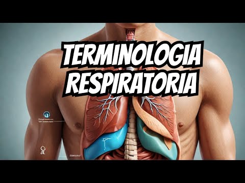 Video: ¿Qué significa tráquea en términos médicos?