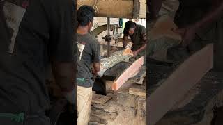 How Sawmill Machines Help Improve the Quality and Quantity of Wood Production