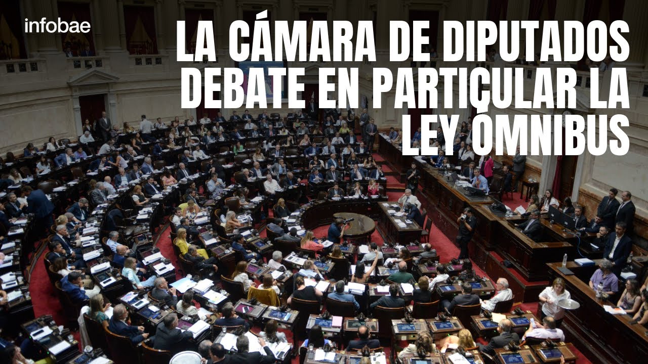 EN VIVO: La Cámara de Diputados debate en particular la Ley Ómnibus ...