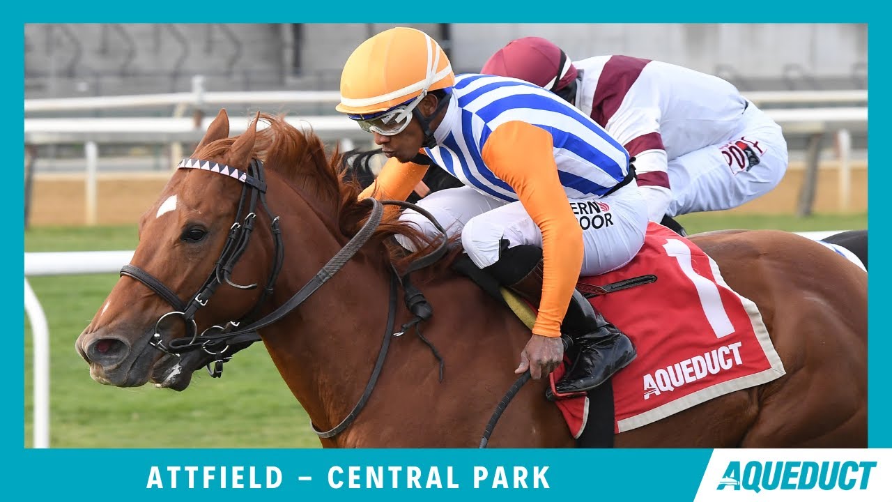 АТТФИЛД - 2025 - Центральный парк