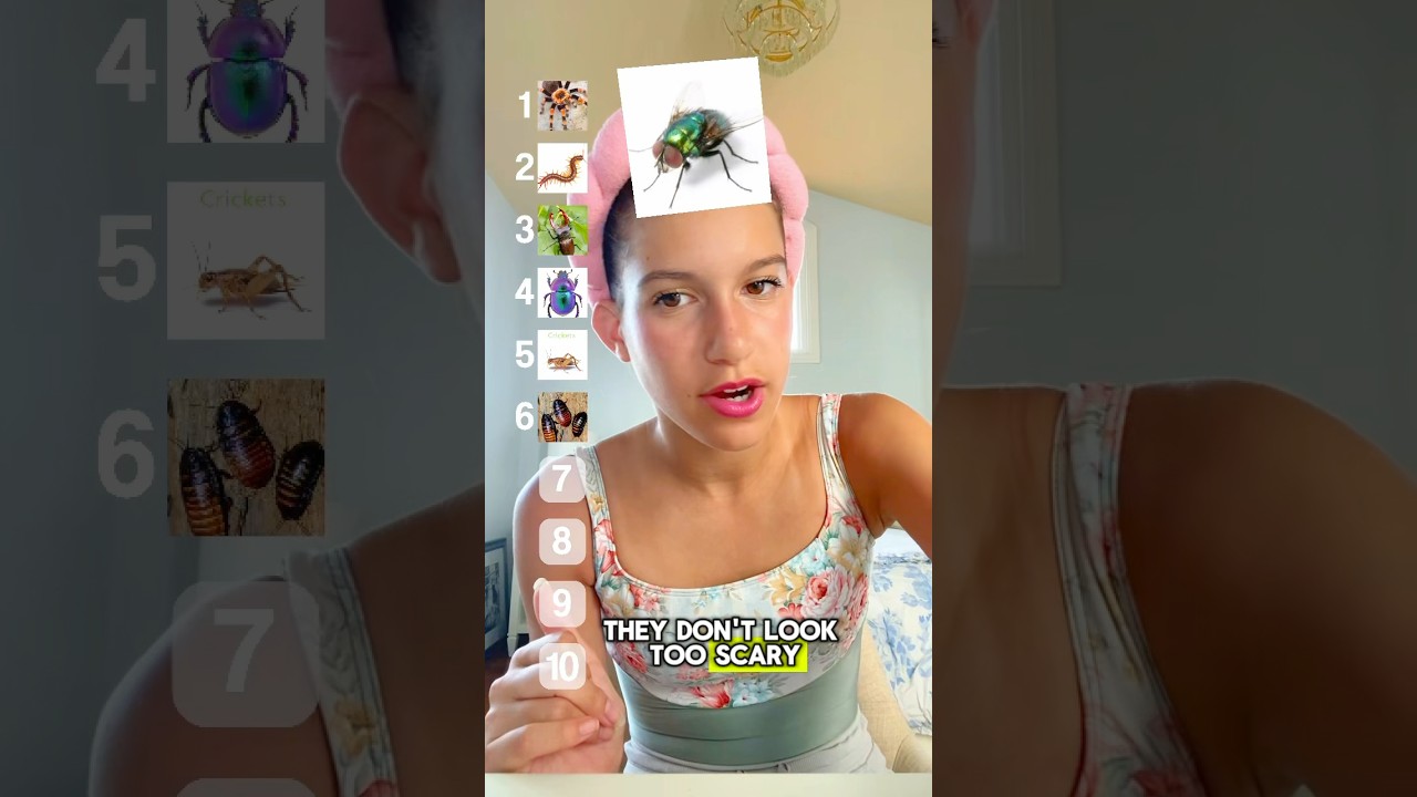 ranking bugs 🐞 🐛🪲