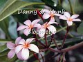 Danny de Munk - Bloemetje