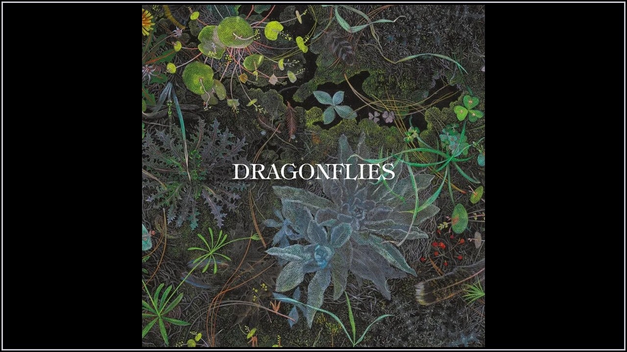 Dragonflies - Setting Sun