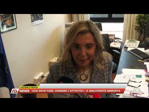 A3 NEWS TREVISO | 28/05/2025